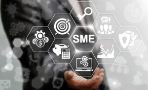 Introduction: Why SME Digitalization Matters in 2025